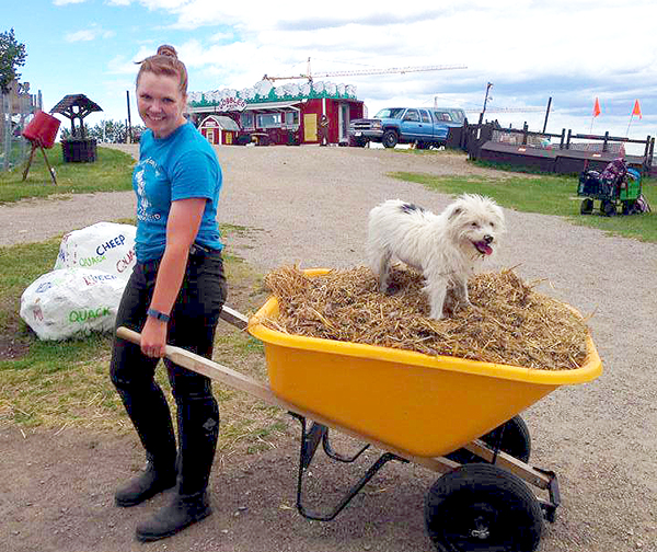 Work at Butterfield Acres Calgary