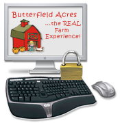 monitor-mouse-keyboard.png