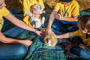 Butterfield Acres School Visits