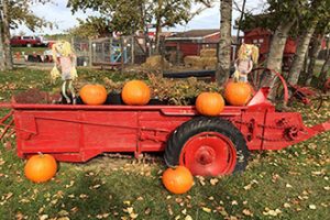 Butterfield Acres Upcoming Events