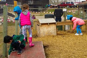 Calgary Farm Birthday Party