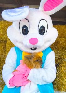 Butterfield Acres Easter Hunts Calgary Alberta