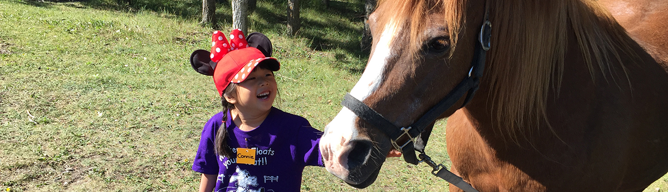 Butterfield Acres Horses