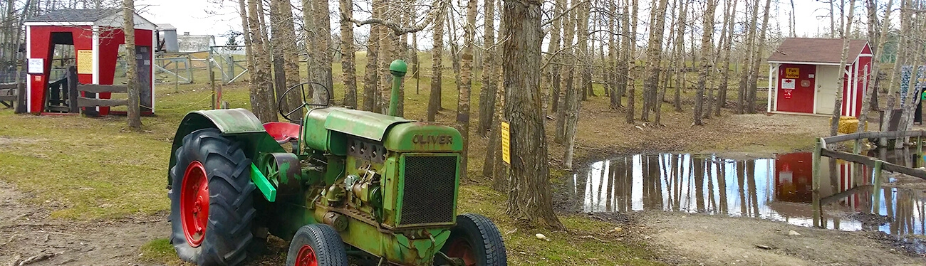 Calgary Childrens Farm | Butterfield Acres