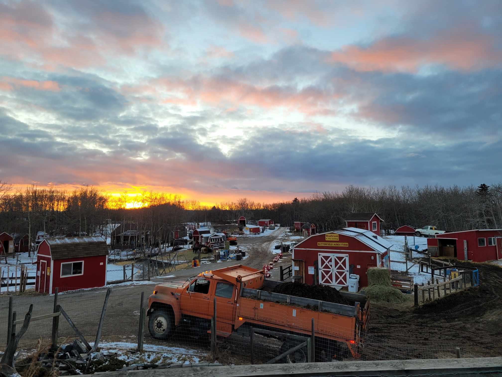 sunset at the farm