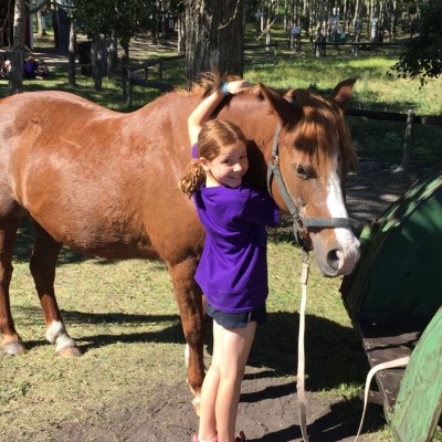 horse getting a hug from a child
