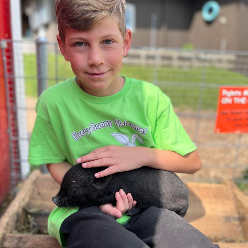 summer camp kid holding piglet