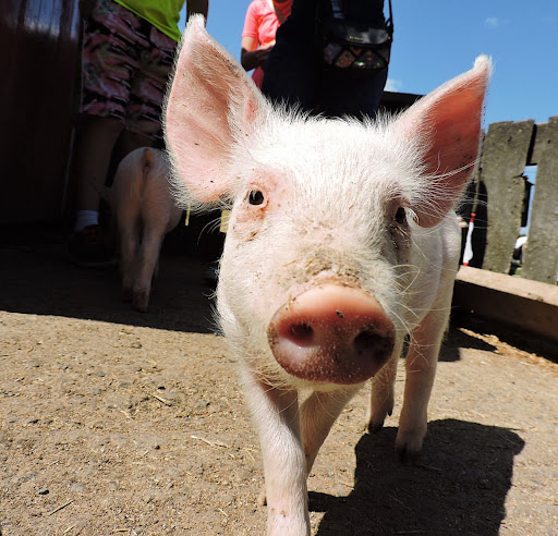 media thumbnail 2
